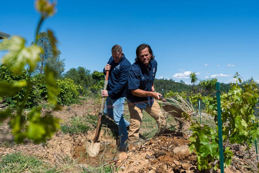Sewer Repair in Citrus Heights, CA